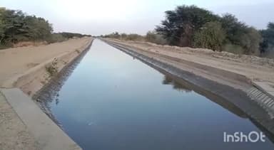 जैसलमेर: नाचना नहरी क्षेत्र के भारेवाला जीरो आरडी पर किसानों ने किया प्रदर्शन,कहा- मुरबो व खेतों तक नहीं पहुंच रहा सिंचाई का पानी