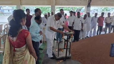 समुद्रपूर: आधारभूत हरभरा खरेदीचा समुद्रपूर कृषी उत्पन्न बाजार समितीत शुभारंभ