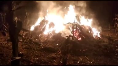 समुद्रपूर: शिवणी येथे हरभरा व ज्वारीच्या गंजीला आग लागून शेतकऱ्यांचे दीड लाख रुपयांचे नुकसान; आगीत हरभरा व ज्वारीची गंजी खाक