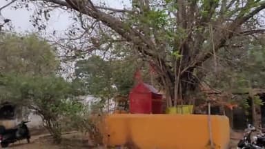 हजारीबाग का मौसम बदला,आई आंधी ,पेड झूल उठे, मौसम हुआ ठंड, पेड का पता जमीन पर बिखरे, चितरंजन प्रसाद गुप्ता हजारीबाग