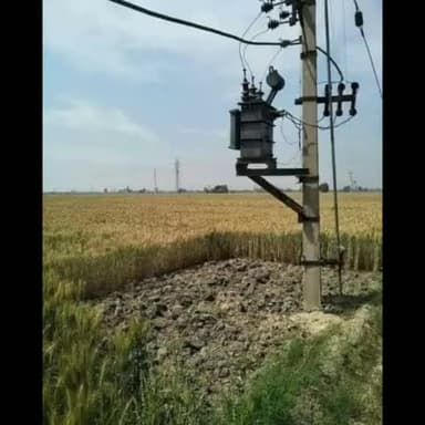 गोगरी: महेशखूंट थाना क्षेत्र अंतर्गत सपाहा पंचायत के मकई के खेतों में बिजली के शॉर्ट सर्किट तार से किसानों की फसल जलकर हुई नष्ट