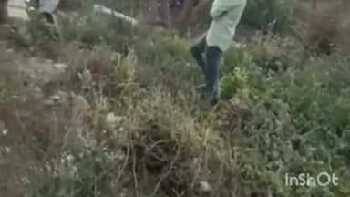 सलोन: बिजवलिया के पास साइकिल सवार को बचाने के चक्कर में अनियंत्रित होकर पलटी कार, बाल-बाल बचे लोग