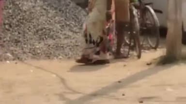 कटिहार: सदर अस्पताल में साइकिल चोरी करते एक व्यक्ति को रंगे हाथ लोगों ने पकड़ा, बांधकर पहले पिटाई फिर पुलिस के हवाले किया