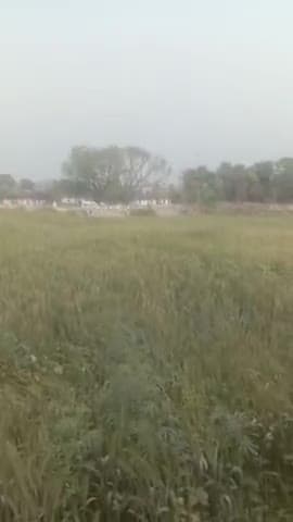 harpur panditpur saran
#newsactionnetwork 
#hindikhabar 
#Bharat #news_update