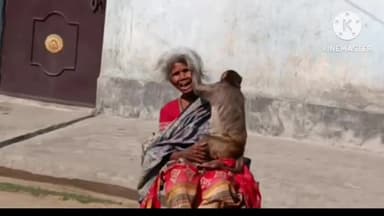 पतरातू: भदानीनगर क्षेत्र में एक बंदर ने सैकड़ों लोगों को तबाह किया