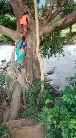 कभी ऐसे फ्लायओव्हर से भी इस पार उस पार आकर देखें यह सिर्फ भारत में ही संभव है  मेरा भारत महान