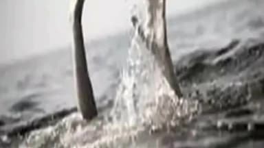 सामने घाट पुल से गंगा में कूदा युवक ,तलाश जारी