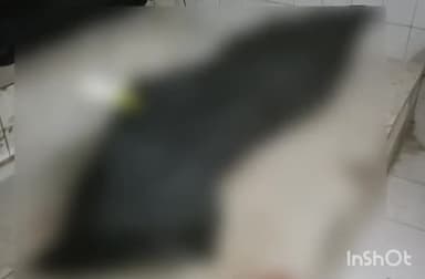 बहराइच: शंकरपुर बभनौटी इलाके में सांड़ के हमले में बुजुर्ग महिला की हुई मौत, पुलिस जांच में जुटी