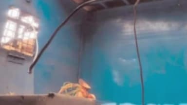 मांडू: कुज्जू ओपी क्षेत्र के तोपा की एक दुकान व दिग्वार में एक आवास में चोरी को लेकर पीड़ितों ने आवेदन देकर लगाई मदद की गुहार