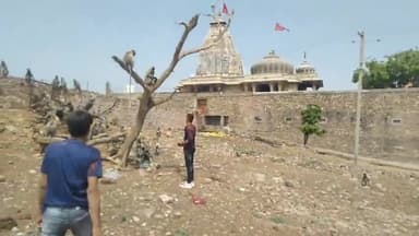 रंग तेरस पर  राष्ट्रीय बजरंग दल चित्तौड़गढ़ के बजरंगियों ने बंदरों को चित्तौड़ किले पर आटे की बाटियां खिलाई  वह रंग खेला