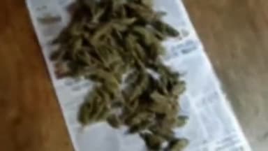 देवसर: खुटार चौकी पुलिस ने अवैध मादक पदार्थ गांजा के साथ एक आरोपी को गिरफ्तार कर की कार्यवाई