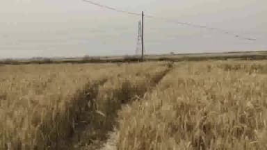 दरभंगा: शोभन में एम्स निर्माण को लेकर काटे गए मिट्टी को लेकर जिला पार्षद ने उठाए सवाल