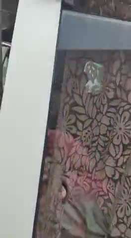 बिते हुए कल मनीष कश्यप ने खुद को किया सरेंडर और भावुक हो गए #sach_tak_chhattisgarh_news 
﻿@sachtak4512 #manishkashyp