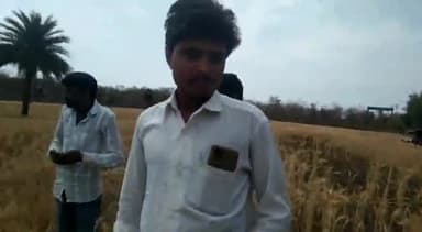 नटेरन: जनपद पंचायत नटेरन के पूर्व अध्यक्ष इंदर सिंह यादव ने ओला प्रभावित फसलों को लेकर गांवों का किया दौरा