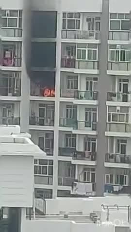 दादरी: सेक्टर-77 स्थित निजी सोसायटी के फ्लैट में अचानक लगी भीषण आग, मौके पर पहुंची फायर विभाग की टीम ने आग पर पाया काबू