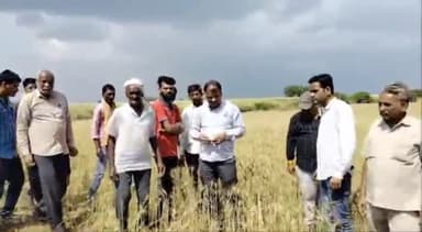 नटेरन: ग्राम दीघोनी सहित आधा दर्जन गांवों का सांसद प्रतिनिधि यशपाल रघुवंशी ने किया दौरा, ओलावृष्टि पीड़ित किसानों से की मुलाकात