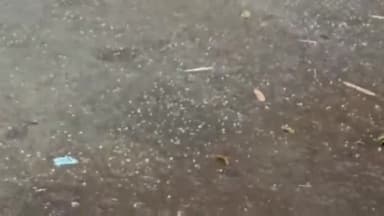 टनकुप्पा: प्रखंड क्षेत्र में बेमौसम बारिश और ओलावृष्टि से फसलों को हुआ भारी नुकसान, किसानों ने सरकारी से की मुआवजे की मांग