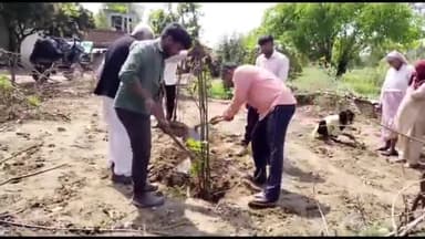 मुरादाबाद: विश्व वानिकी दिवस के मौके पर प्रकृति सेवा ट्रस्ट के संस्थापक ने झनकपुरी में पौधों का किया रोपण