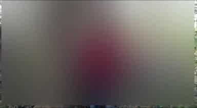 डिबाई: भीमपुर में संदिग्ध परिस्थितियों में युवती का कमरे में फांसी के फंदे से लटका मिला शव, जांच पड़ताल में जुटी पुलिस