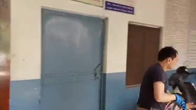 रोहतक: सिंगपुरा गांव में 12वीं कक्षा की परीक्षा के दौरान मधुमक्खियों ने छात्रों पर किया हमला, दो दर्जन छात्रों को काटा