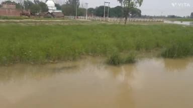 बनघुसरी इटैहिया के पाच सौ बीघा गेहू धनिया मसूर मटर सरसो के पांच बीघा खडी फसल में पहाडी हेगहा नाला के उफान से भरा पानी ।