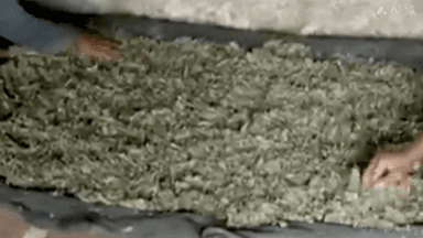 चितरंगी: नवानगर पुलिस ने 400 ग्राम मादक पदार्थ गांजा के साथ 1 आरोपी को नंद गांव तालाब के पास से किया गिरफ्तार