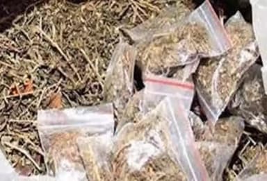 सरई: नवानगर पुलिस ने 400 ग्राम अवैध मादक पदार्थ गांजा के साथ एक आरोपी को नंदगांव तालाब के समीप से किया गिरफ्तार