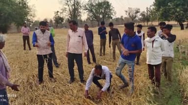 बड़ा मलेहरा: जिला पंचायत अध्यक्ष प्रतिनिधि ने बड़ा मलहरा की विभिन्न पंचायतों में क्षतिग्रस्त हुई फसलों का लिया जायजा