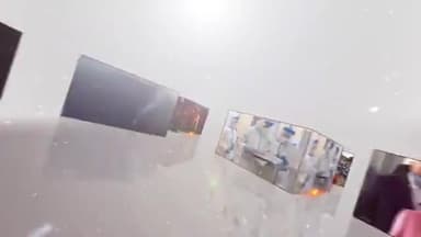 मनुष्य को मांस खाना चाहिए या नहीं !! SA NEWS Channel