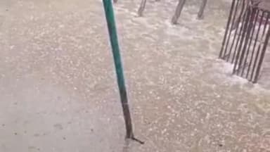 सिंगरौली: चितरंगी तहसील के कई गांव में ओलावृष्टि व तेज तूफानी बारिश से किसानों की फसल नष्ट, मुआवजे की उठी मांग