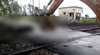 तिलहर: मीरानपुर कटरा क्षेत्र के बीरमपुर रेलवे हाल्ट पर आकाशीय बिजली गिरने से 2 गोवंश की हुई मौत