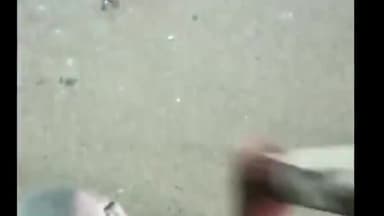 पटना ग्रामीण: अटल पथ पर उल्टी दिशा से आ रही जेसीबी ने कार में मारी टक्कर , कार का बोनट पूरी तरह क्षतिग्रस्त