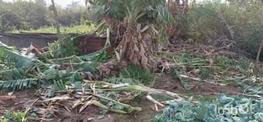 दारू: जिनगा में हाथियों ने घर की चारदीवारी तोड़ी, फसलों को किया नष्ट