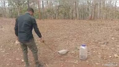 सिवनी: ग्राम सिमरिया एवं छिड़िया के दो स्थानों पर निकला कोबरा सर्प, सर्प मित्र ने किया रेस्क्यू