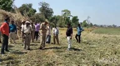 मिहींपुरवा: सुजौली के पास खेतों में लगी गेहूं की फसल को जंगली हाथियों ने किया तहस-नहस, सूचना के बाद मौके पर पहुंचे वन कर्मी