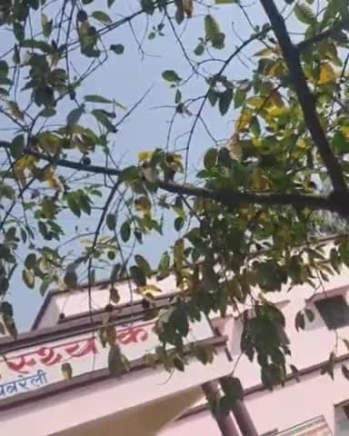 रायबरेली: बेला भेला सामुदायिक स्वास्थ्य केंद्र में दवाइयां जलाने व स्वास्थ्य विभाग की लापरवाही का वीडियो सोशल मीडिया पर हुआ वायरल