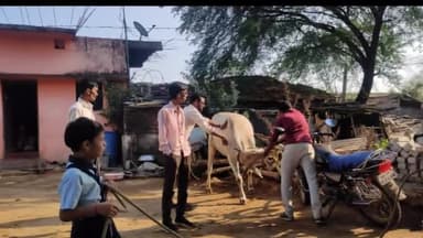 समुद्रपूर: मोहगाव येथे पशुसंवर्धन विभागाच्या वतीने जनावरांसाठी घेण्यात आले लसीकरण शिबीर