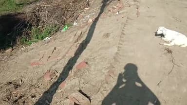 इमादपुर लताबाड़ी में ईंट की बनी रोड का हुआ बुरा हाल।#imadpurlatambari