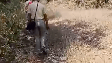 सिंगरौली: कोर्सा डोंगामेड गांव के जंगल में जमीन के अंदर गड़ा मिला नर कंकाल, जांच में जुटी पुलिस