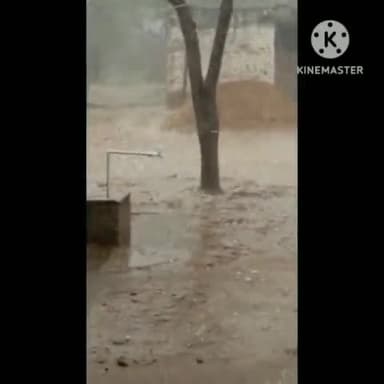 बुहाना: #टूटी किसानों की कमर#ओले गिरने से सबकुछ तबाह #फसल हुई खराब#झुंझुनू से लेकर हरियाणा तक लड्डू के सम्मान ओले गिरे#