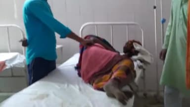 धनघटा: सोनाड़ी चौराहे पर 55 वर्षीय महिला सड़क दुर्घटना में हुई गंभीर घायल, जिला अस्पताल रेफर