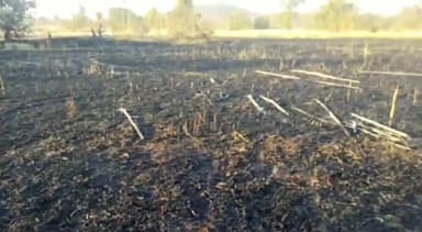 रहटगांव: वनग्राम बड़वानी में अज्ञात कारणों से लगी आग 2 एकड़ से अधिक में खड़े गेँहू की फसल जलकर हुई राख।