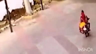 सिवनी: बंडोल थाना क्षेत्र अंतर्गत ट्रक की टक्कर से साइकिल सवार की मौत, सीसीटीवी फुटेज सोशल मीडिया पर वायरल