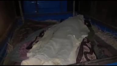 अररिया: प्रसादपुर डुमरिया गांव में ससुराल आए युवक की संदेहास्पद स्थिति में हुई मौत पोस्टमार्टम के लिए लाया गया शव