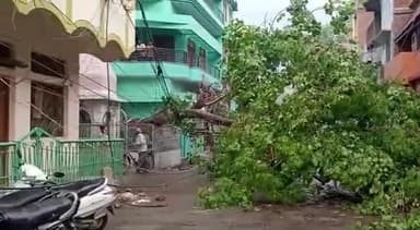 मिर्ज़ापुर: डंकिनगंज मोहल्ले में तेज आंधी और बारिश से गिरा पीपल का पेड़, बिजली का पोल टूटने से आपूर्ति हुई बाधित।