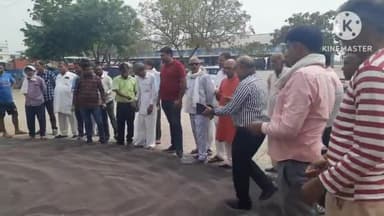 सोनीपत: बरसात की वजह से सोनीपत अनाज मंडी में गिरा सरसों का भाव,5020रुपये प्रति क्विंटल लगी बोली