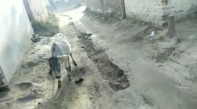 भदोही: शेरपुर गोपलहा में सड़क छतिग्रस्त , रविवार को ग्रामीणों ने मरम्मत की किया माँग