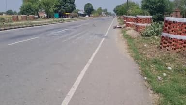 फोर व्हीलर  से जंगली जानवर की भयानक टक्कर , जानवर की मौत