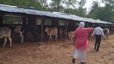 आलापुर: जहांगीरगंज विकास खंड अंतर्गत करौदी मिश्र गोशाला का खंड विकास अधिकारी ने किया औचक निरीक्षण