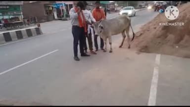 मैनपुरी: ज्योति रोड पर घायल गाय की सूचना पर पहुंचे VHP व बजरंग दल के कार्यकर्ताओं ने गाय का कराया उपचार, भेजा गौ शाला
